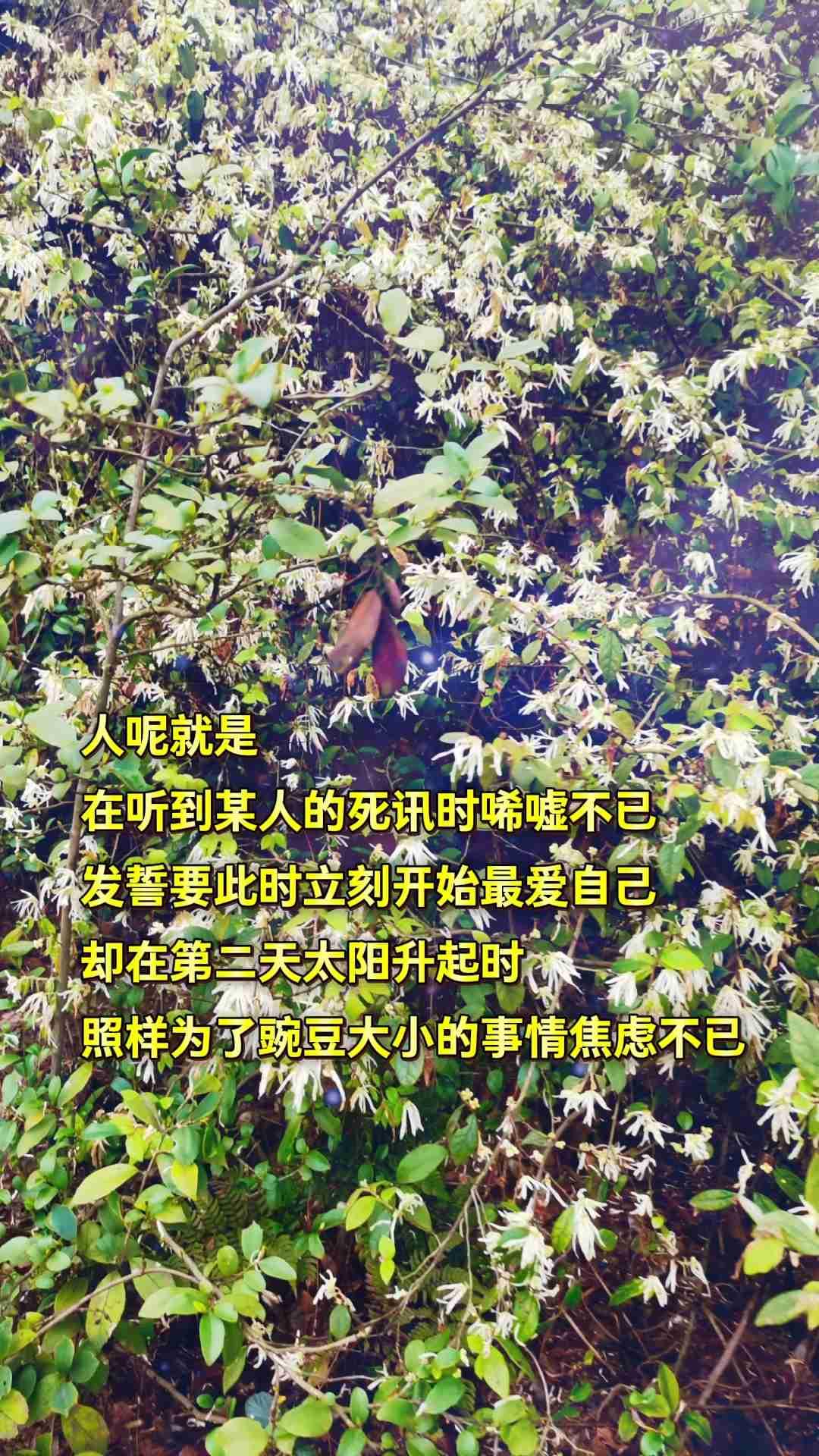 我的今日状态：😪没睡醒
我这里的天气：🌧下雨

与其祈求生活一帆风顺，不如磨