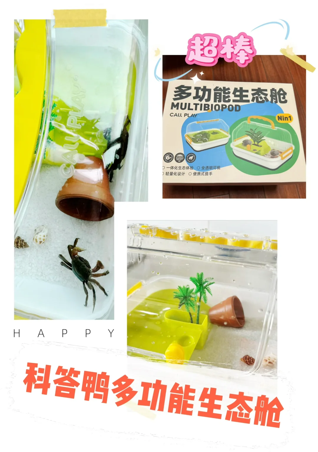 孩子暑期，体验养宠乐趣！