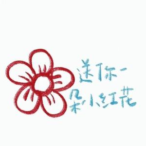 红花课代表