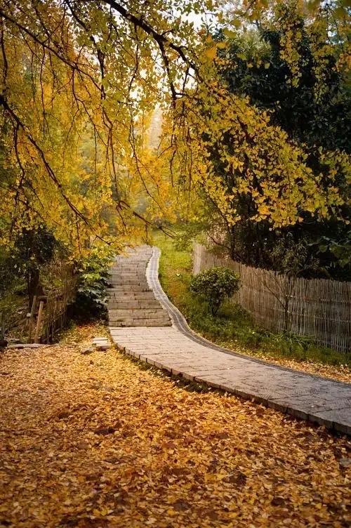 【永州桐子坳旅游攻略】

说起湖南永州的秋天，如果有一个地方能让你感受到“满村尽