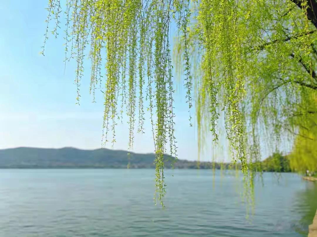 上联，翠柳如帘垂万丝
下联，碧荷若伞擎千把