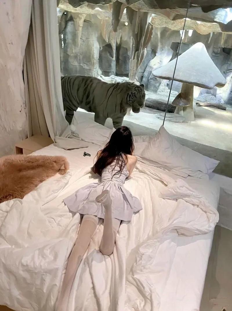 【景区回应168元一晚虎景房】
带上爱人，感受伴君如伴虎。
媒体报道，河南沁阳一