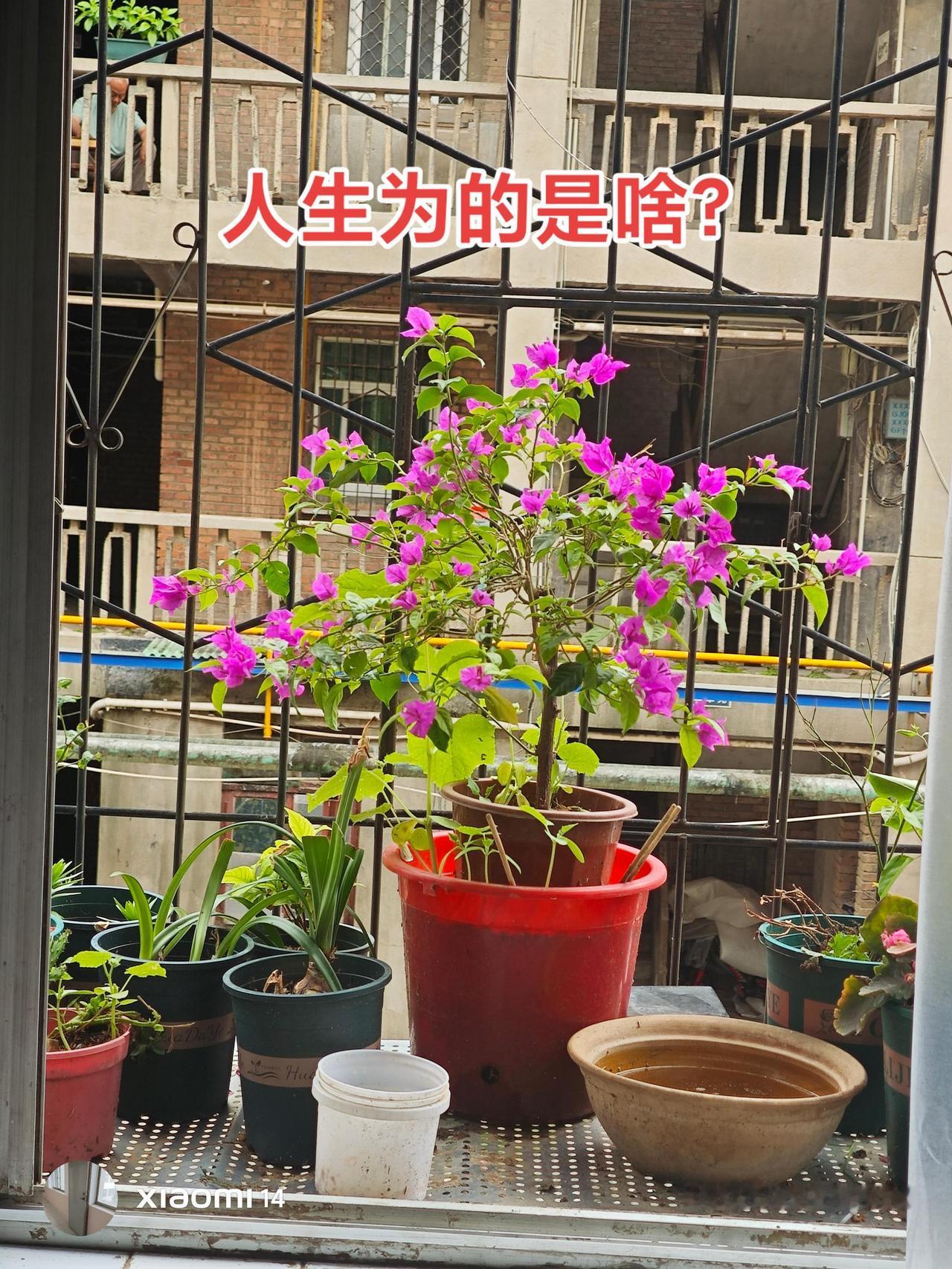 为什么害怕孤独？我一个人的时候真的怕，想要身边有个人陪。孤独  自制水煮鱼