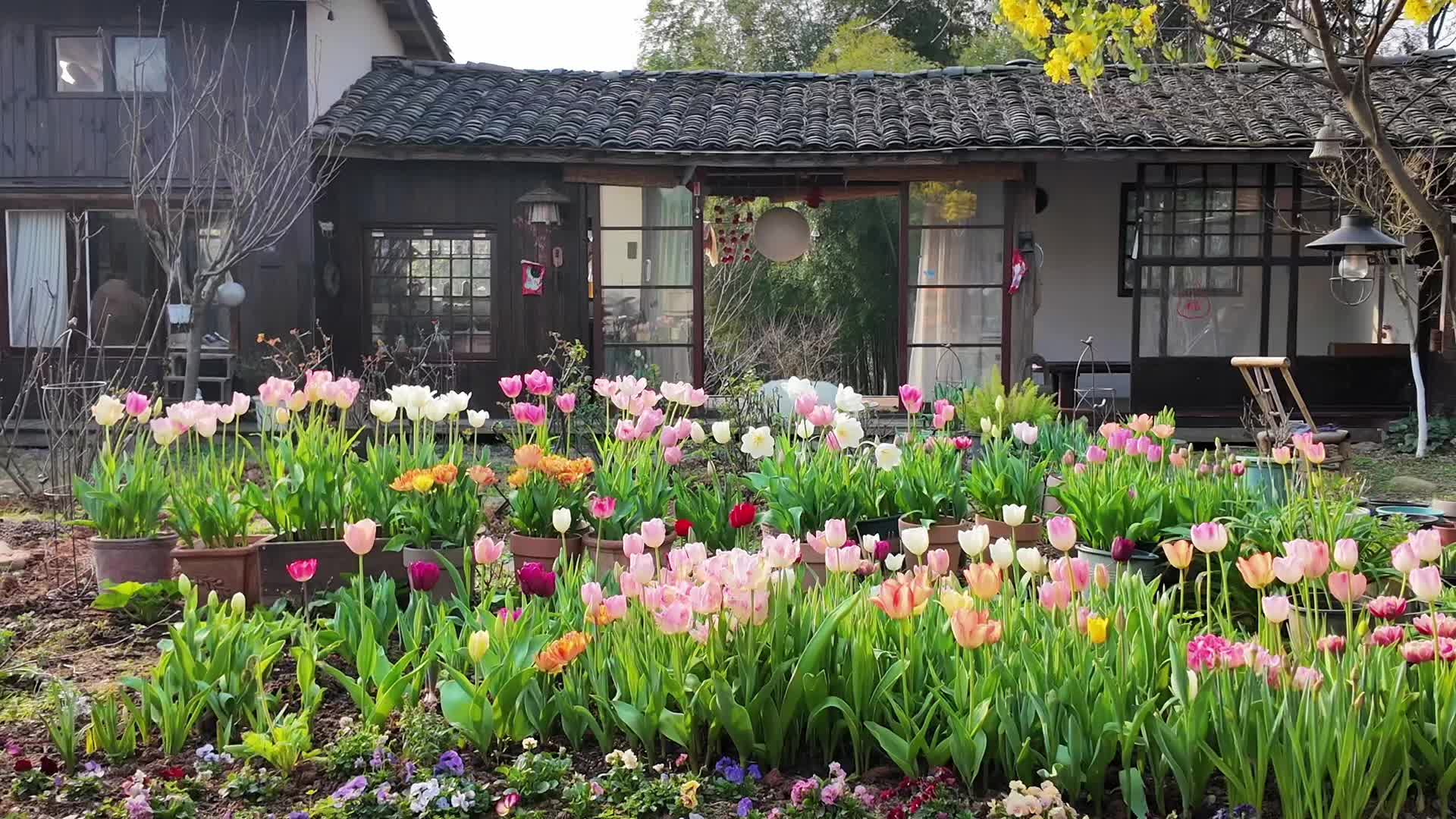 为春天的家心动一万次🍃