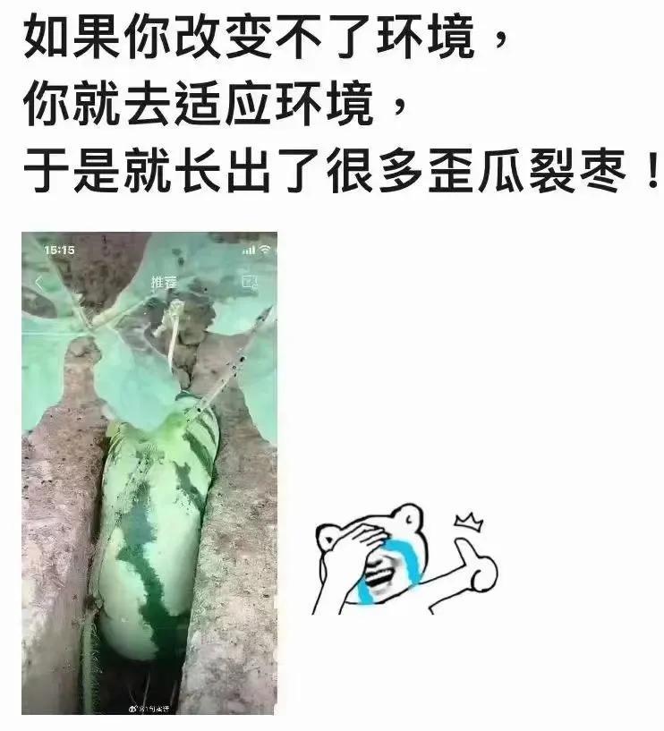 如果改变不了环境，就想办法去适应环境，最终长成了歪瓜裂枣[泪奔]