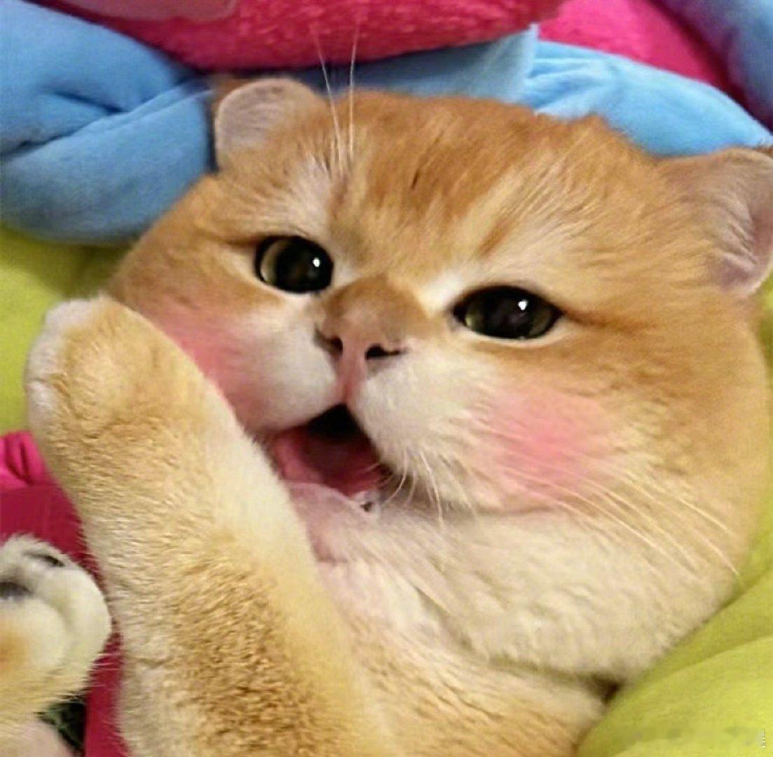 #可灵AI开放全球内测#可灵AI真的是当代智能创新的代表作品之一啊，真的很有实用