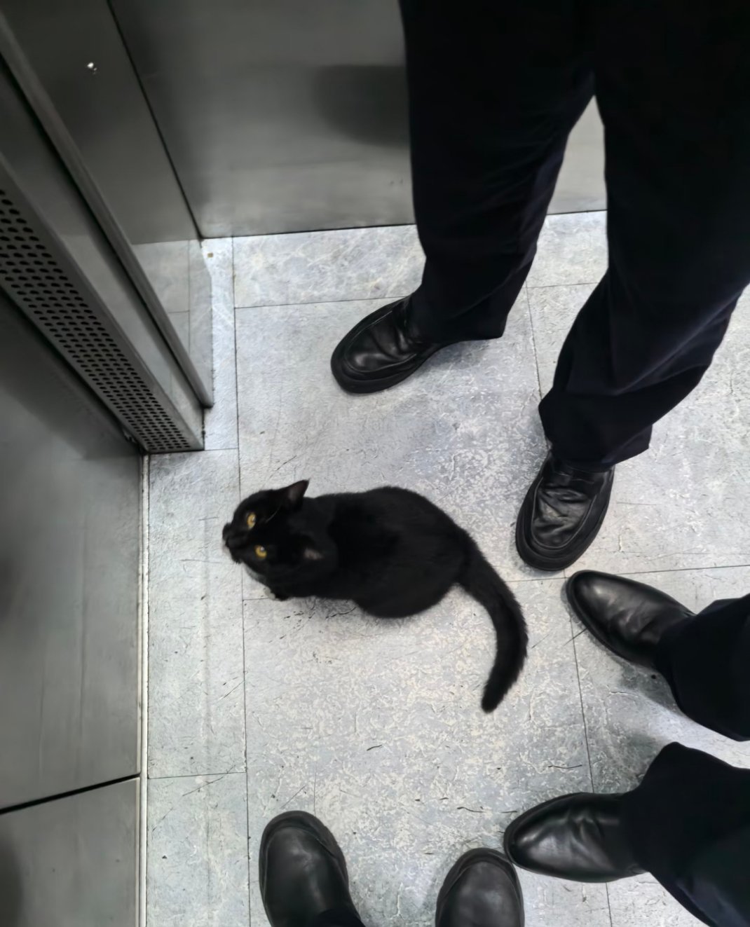 人！你们被包围了！ 