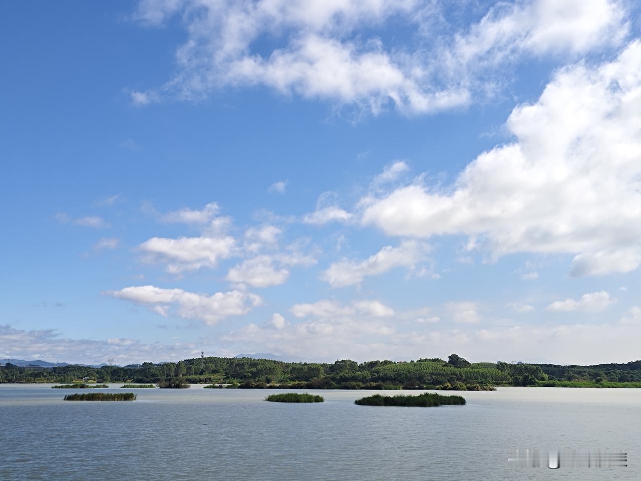 广州十一月份人气爆火的景点有哪些？

①广州园林博览会（主园区）：国际级园林展览