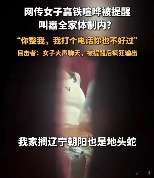 说实话，
看到沈阳北站高铁上那个女子的视频，
我第一反应不是愤怒，是替她着急。一