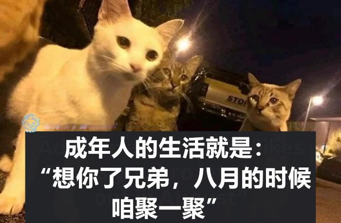 团圆