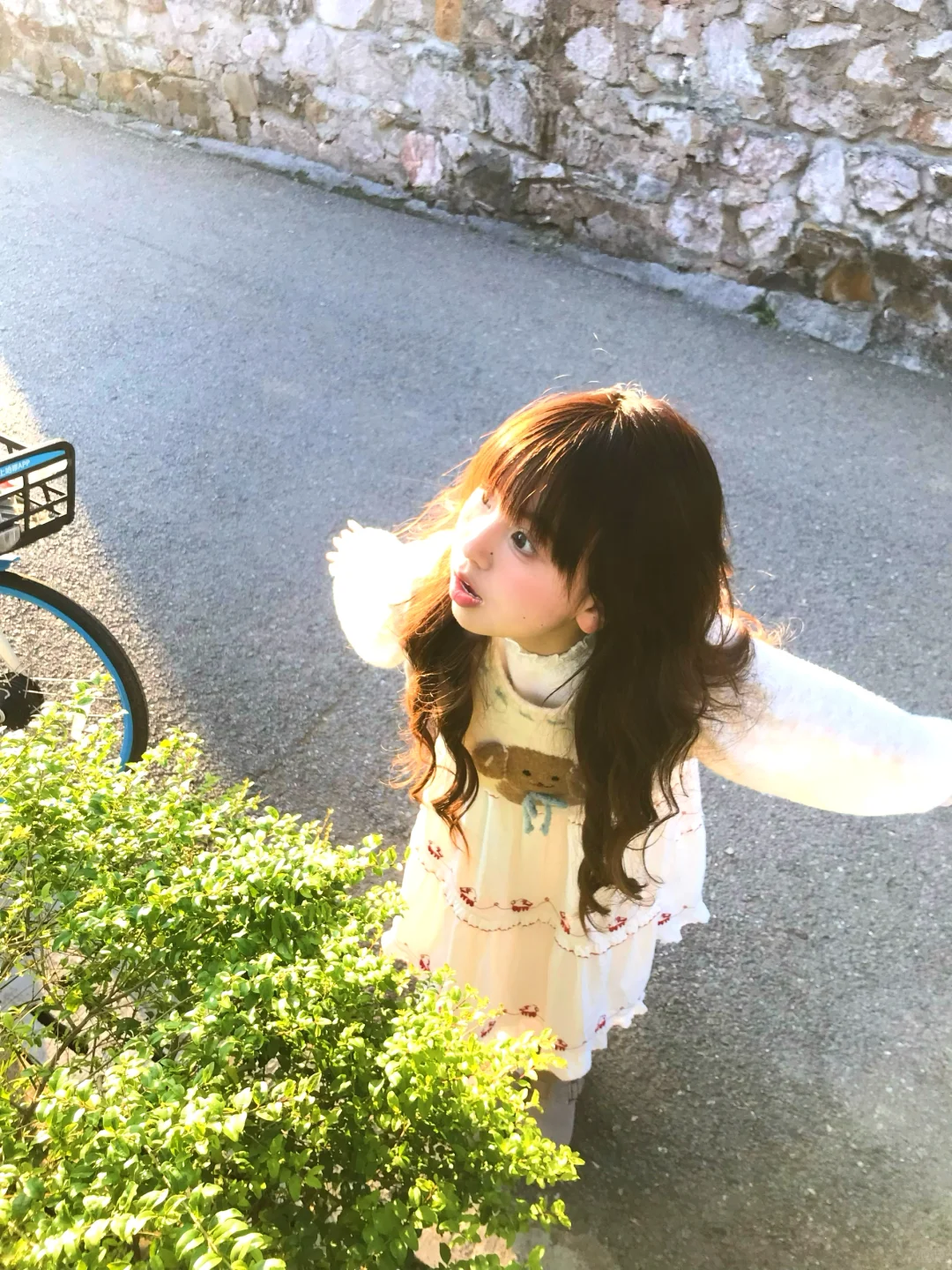 小院秋天🍂