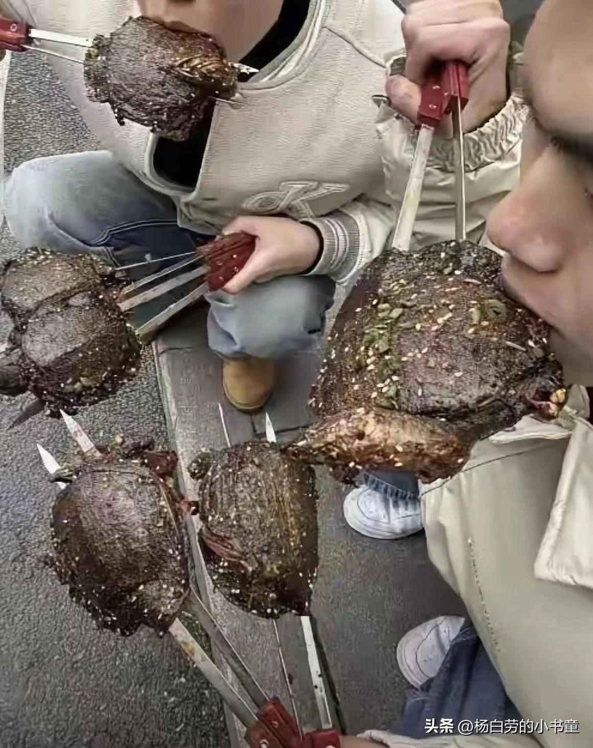 你们吃过吗？
第一次见吃烤鳖的
本是同根生，相煎何太急
不用告诉我，味道肯定不好