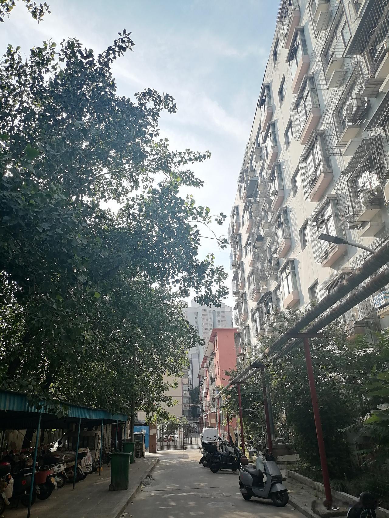 扯淡，要这些物业有什么用？业主买的房子已经交了昂贵的土地税和房屋维护费，突然穿进