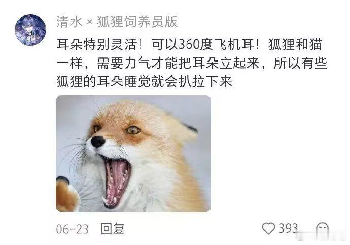 收集了一些狐狸萌点 