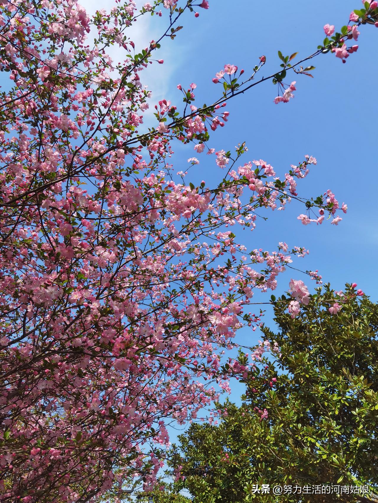 婚姻里没有天生合适的两个人，只有互相迁就的两颗心，包容彼此的不完美，才能相守一辈