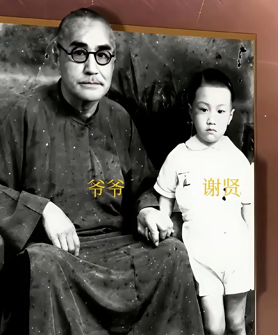 谢家曾经也是名门望族啊！[思考]