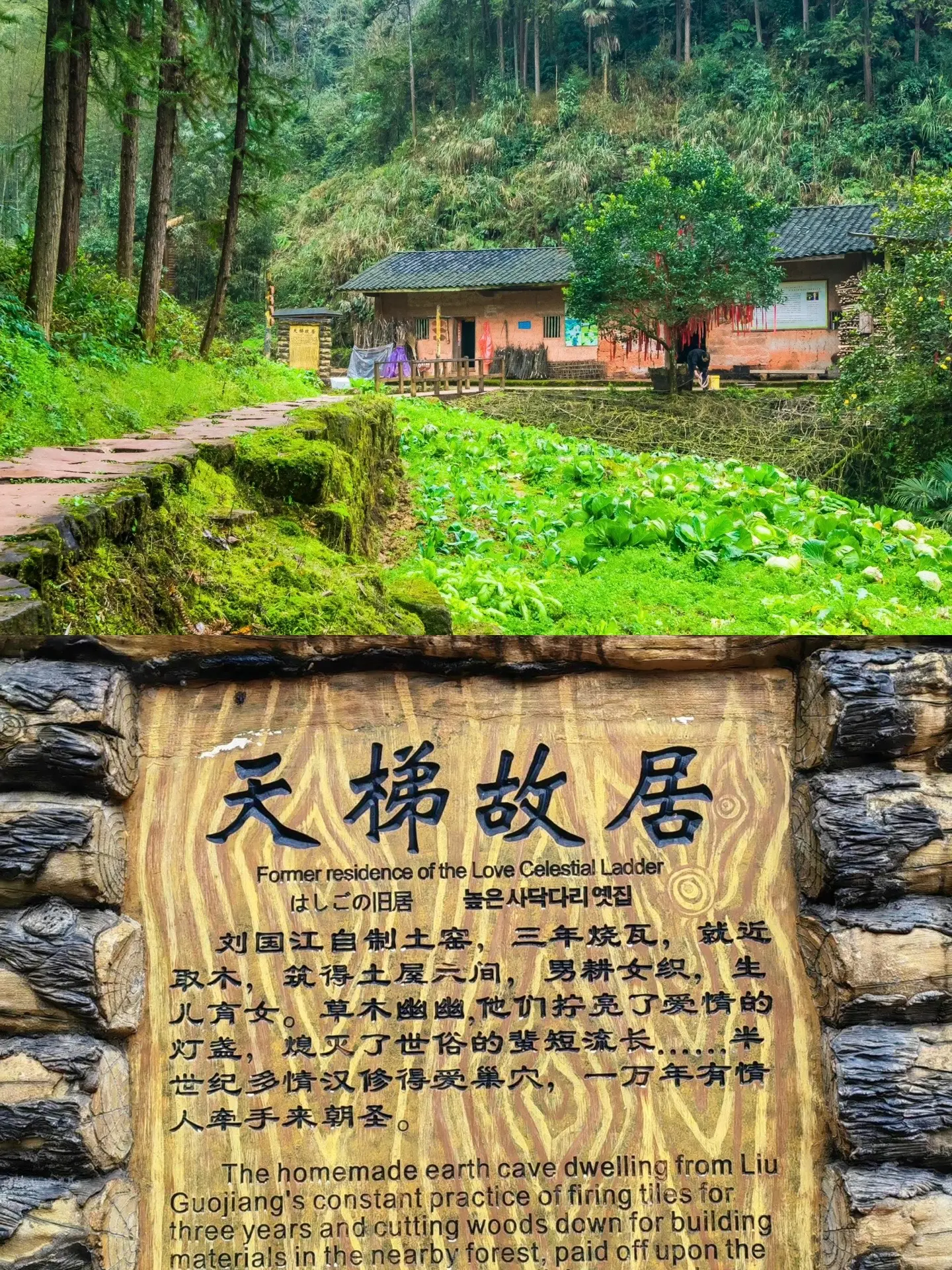 爱能让悬崖变平地 也能在深山造天梯