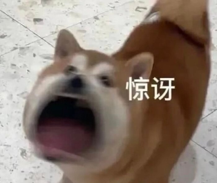 sx不回的，别说自己养铁，铁了就双人的能别说自己续吗，发裙🔗一直不回的，等着被