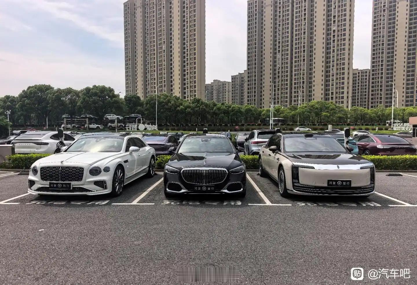 百万豪华轿车同框，宾利、迈巴赫、尊界，你中意哪辆？ 