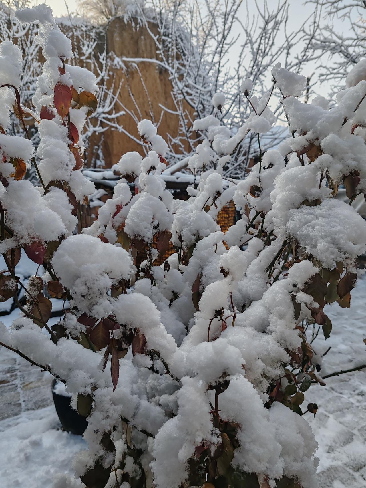 怎样坦然面对人生的风雨