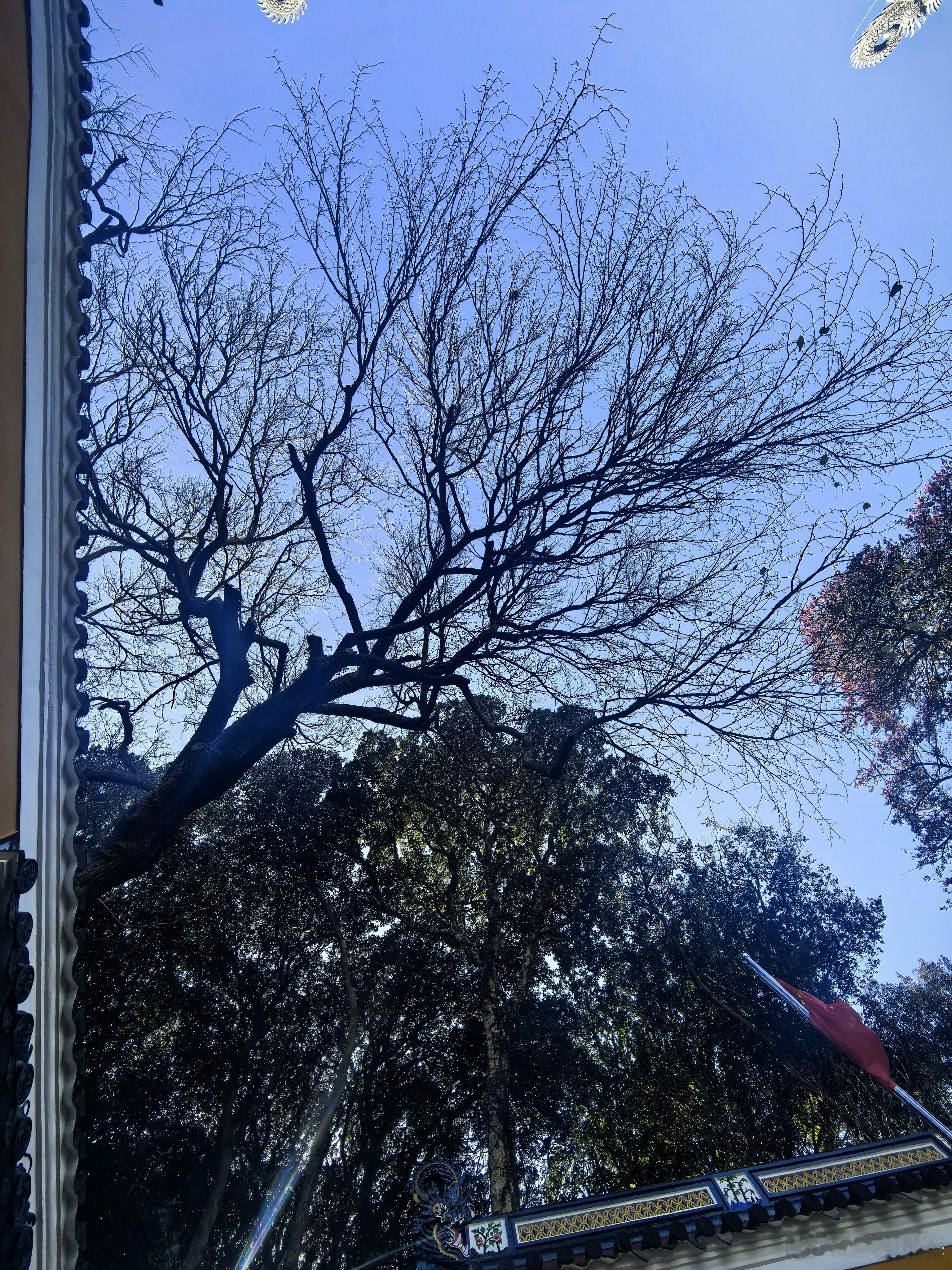 新壁纸  早安！ 