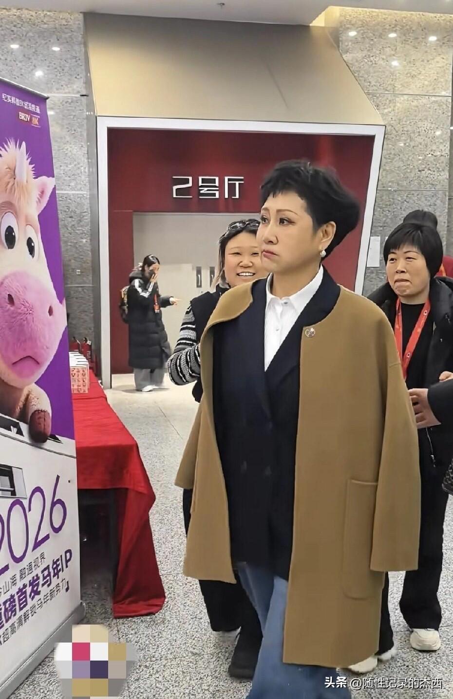 其实这样正常打扮的张凯丽还是挺大方的，颜值上一般，但整体气质还是在线的，她完美地