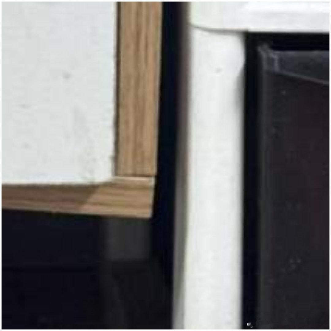 猫猫用那圆润的眸子,，窥探着世间的柔情与美好 ​​​