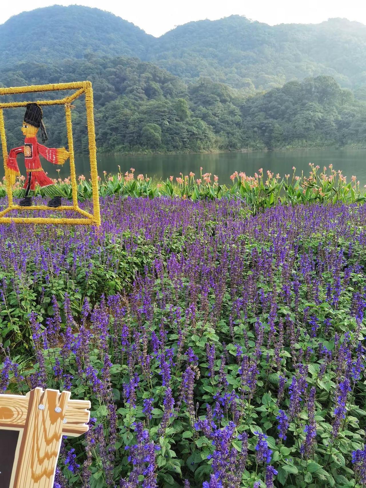 花片成画