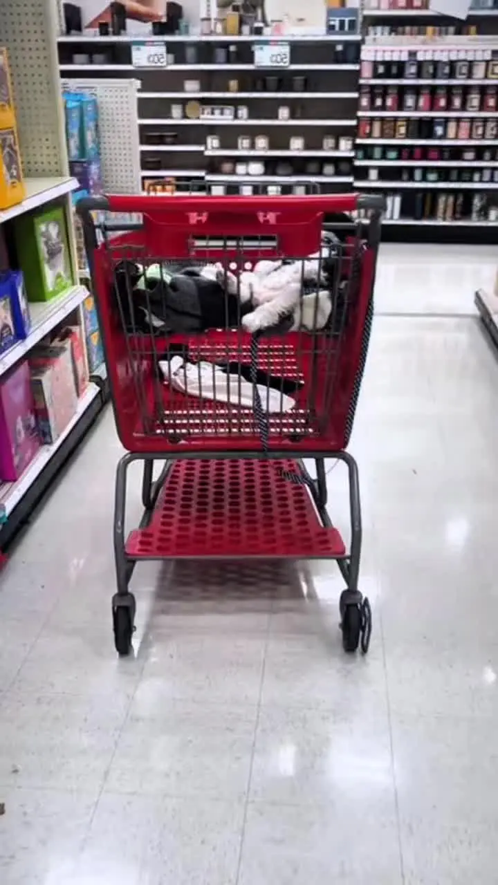 shopping都提不起兴趣