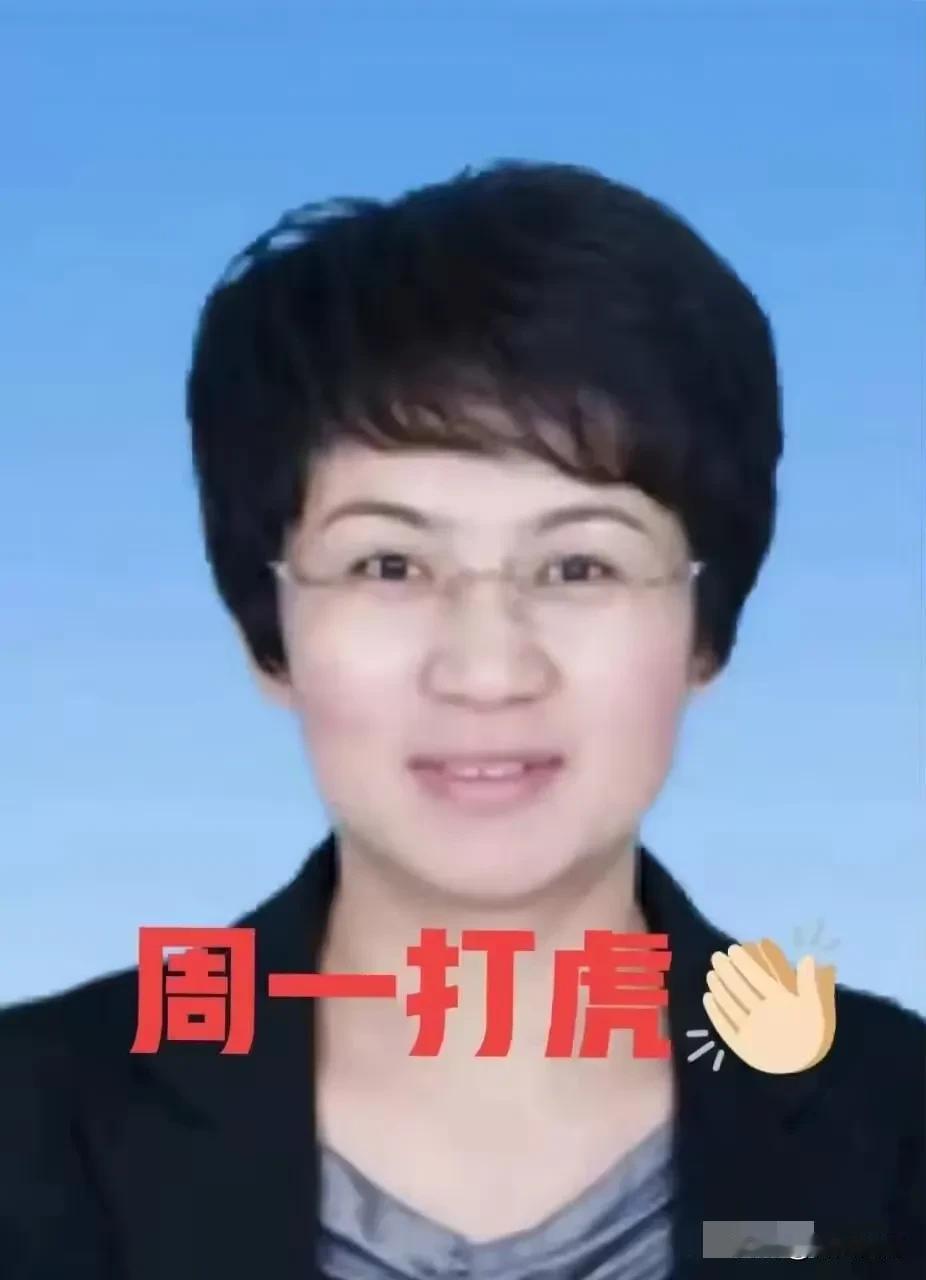 就在刚刚，看了“界面快讯”新闻，“张爱红”被查，于是看了一下她的工作履历，56岁