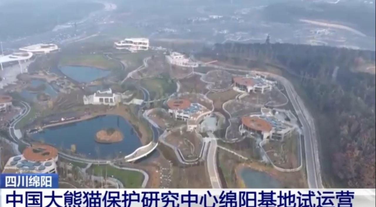 中国大熊猫保护研究中心绵阳基地试运营首日便人气爆棚，这座依山而建的熊猫新家园，山