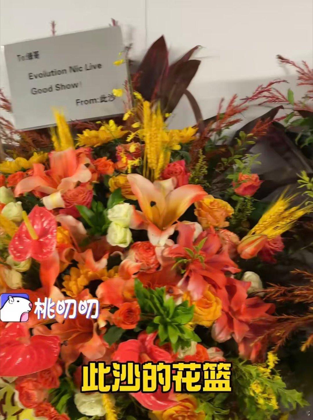 此沙去了谢霆锋演唱会 谢霆锋演唱会偶遇此沙 谢霆锋演唱会现场偶遇此沙，一身灰帽子