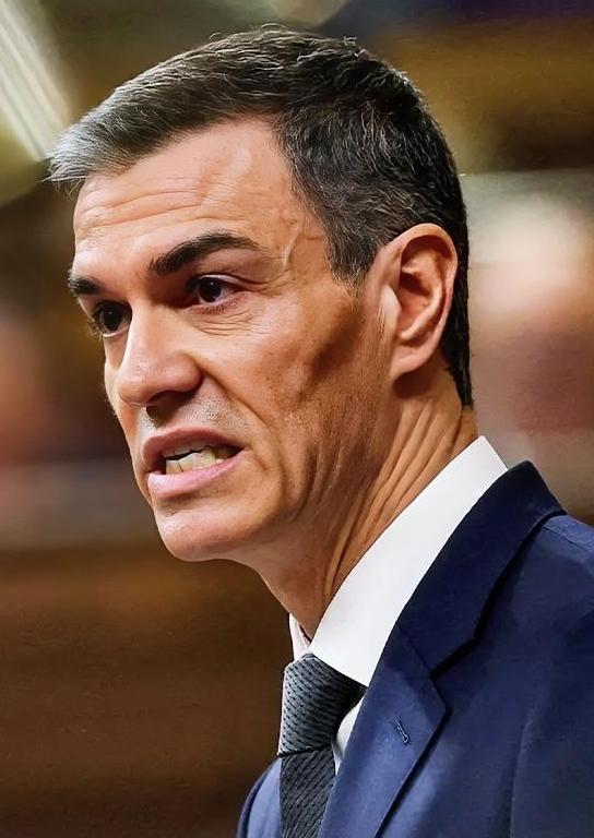 大多数欧洲领导人都在谨慎地权衡利弊，一方面对美国针对伊朗的军事行动表示有限支持，