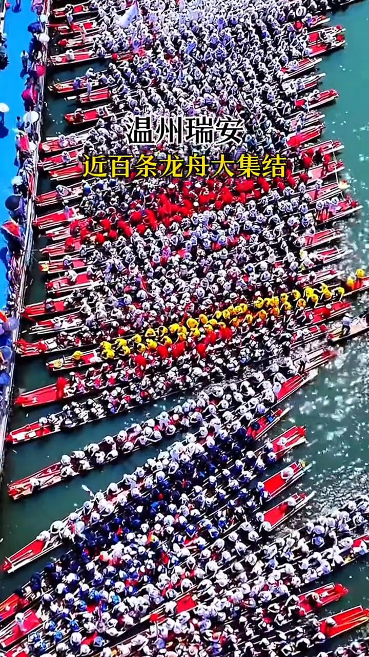 温州瑞安近百条龙舟大集结，这场面阵仗属实震撼。