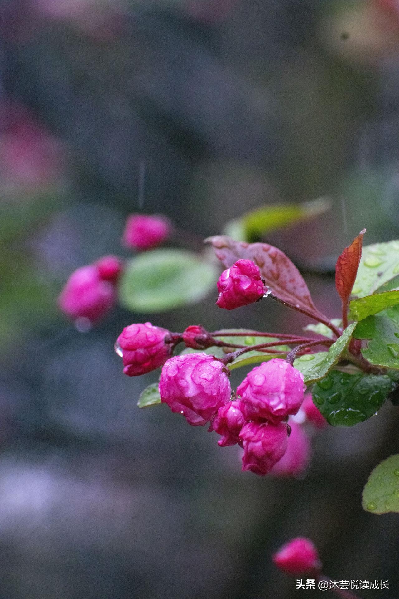 56岁退休才懂：毁掉养老的，不是没钱，而是这3个“坏习惯”❌
 
夜深人静的时候