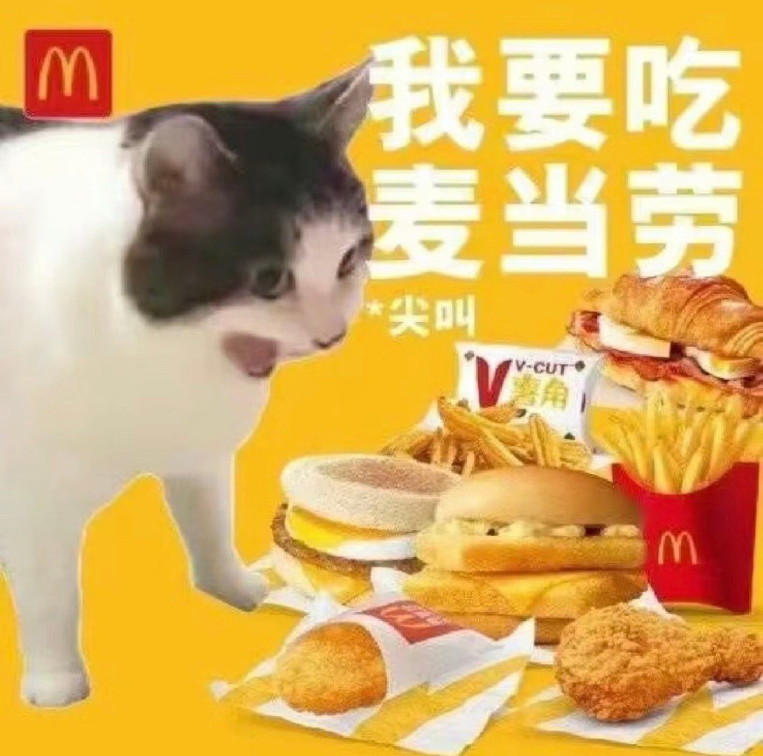 今天是3.14圆周率日 分享一些麦麦表情包！ ​​​