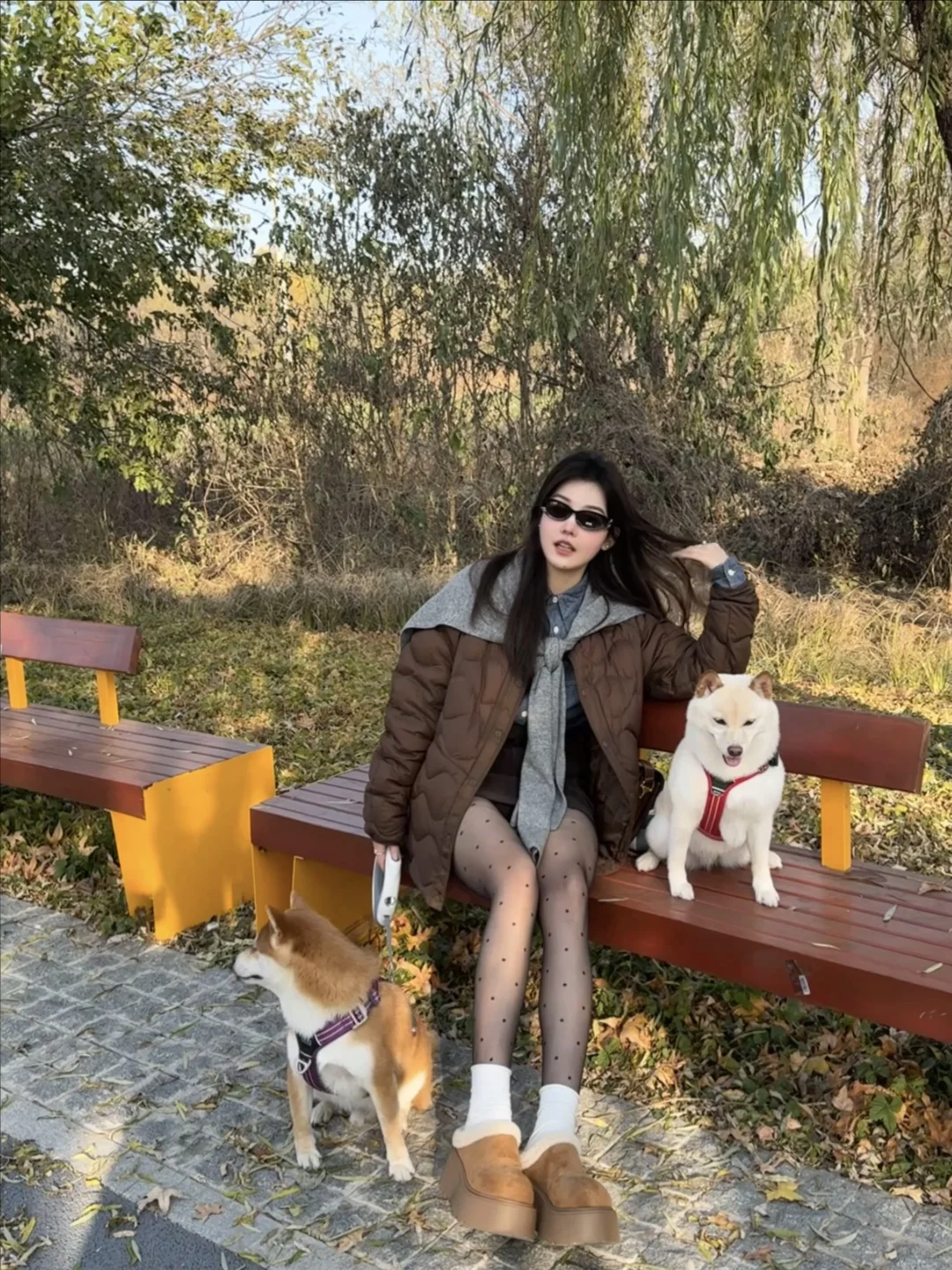 秋天🍁我和我的小狗们🐕都很开心呀ϵ( 'Θ' )