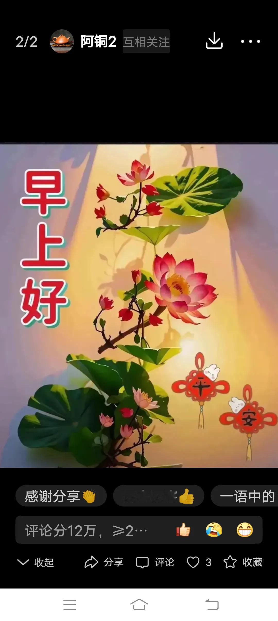 早安好，愿你的一天充满阳光与美好！🌞🌸