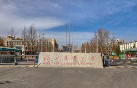 一、先看分数：省内省外差别不小
先回答你最关心的问题：2026年多少分能上河北农