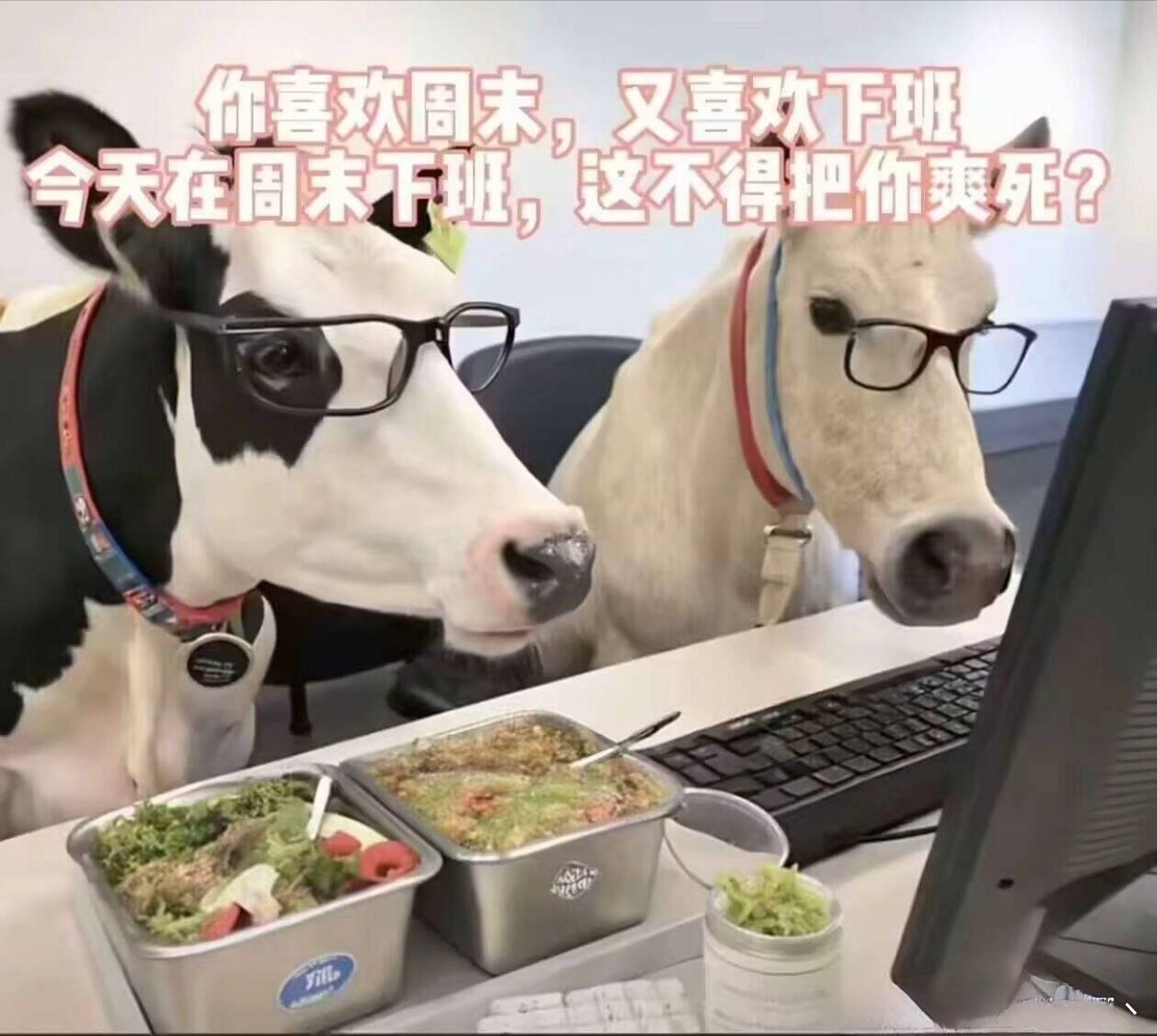 艹 ​​​