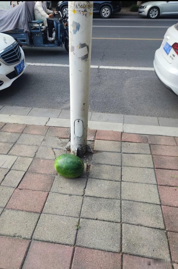 路边看见一个瓜，捡还是不捡？