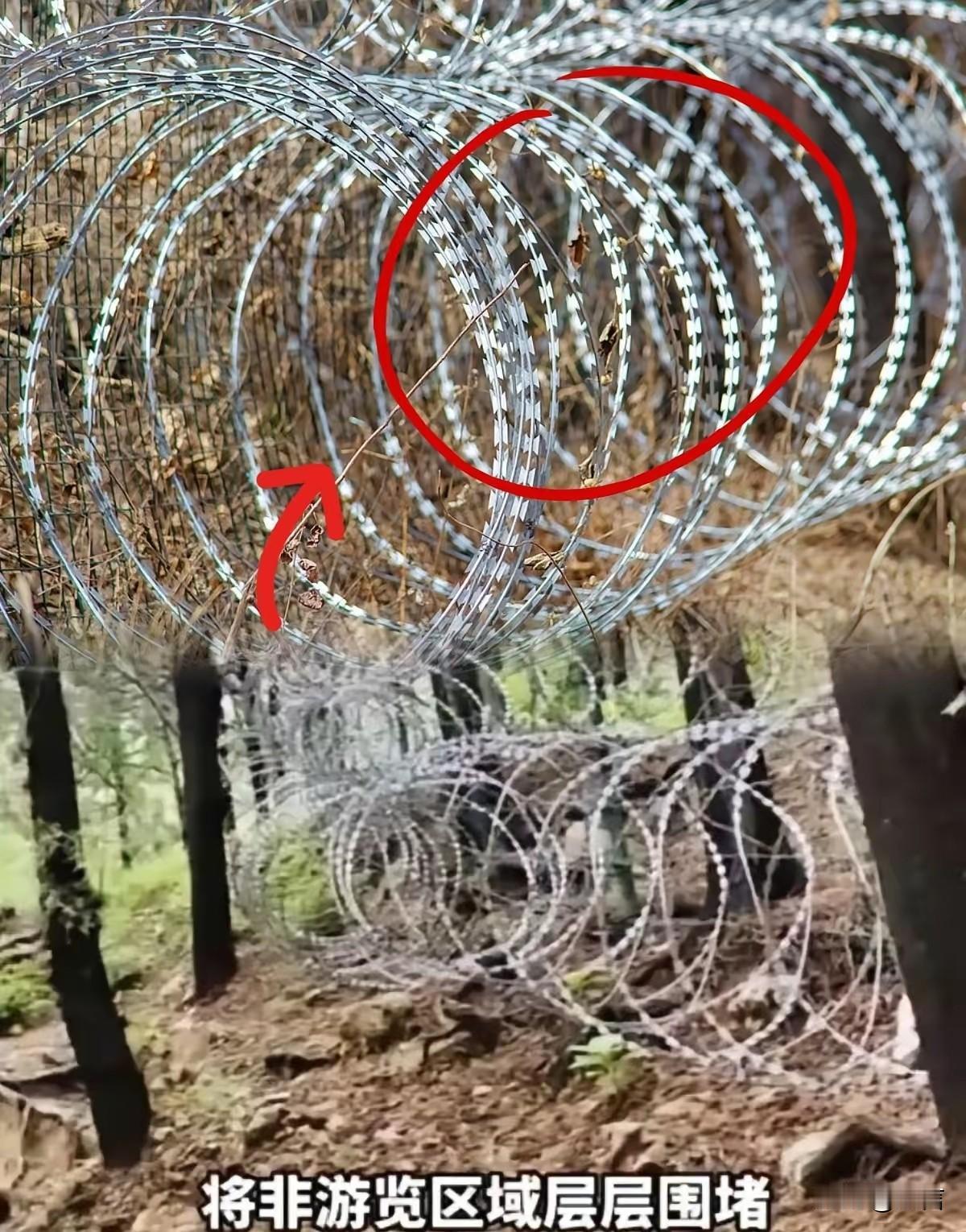泰山围栏“一建一拆”，会对当地年度GDP产生什么影响？好奇的问了一下AI这个问题