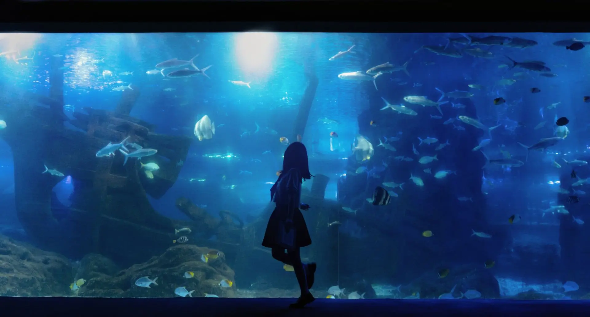 听说这个能引来infp