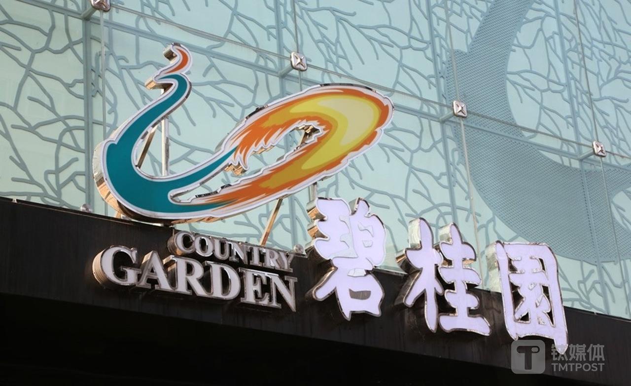 苏州市碧桂园不动产开发有限公司目前已进入破产清算的司法程序。