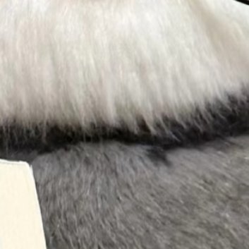 每日一善🧩每日一善 自己的命运从来都是掌握在自己的手中，好生活在于进取，也在于