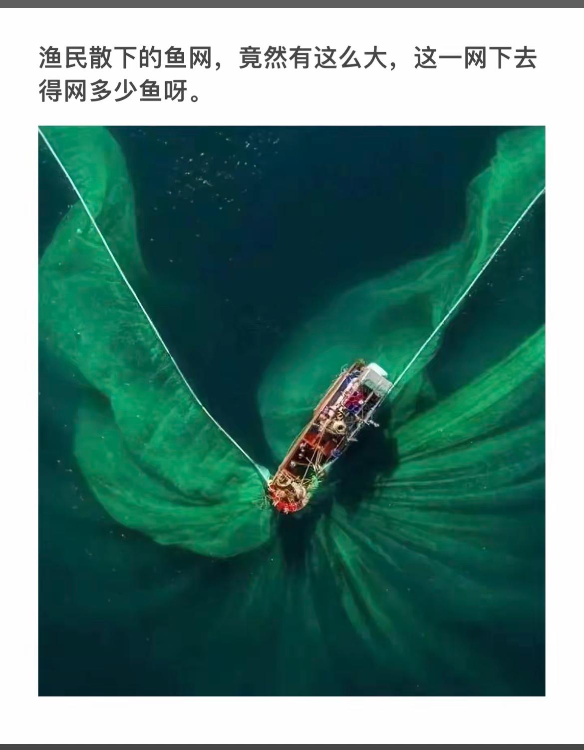 渔民撒网捕鱼的壮观场景，网撒得如此之大，能捕获多少鱼呢？