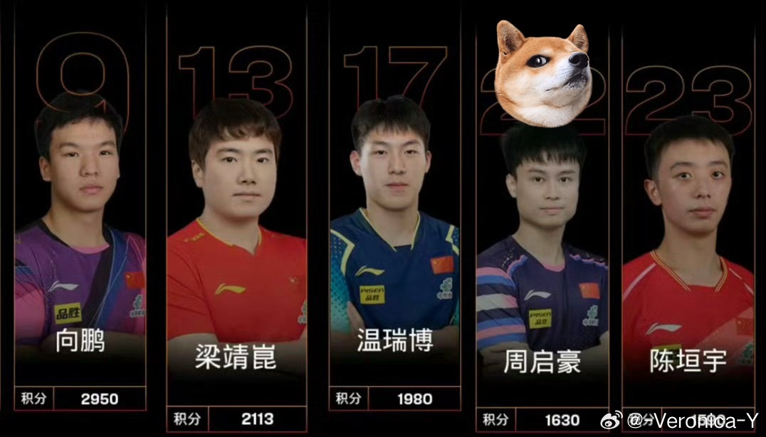 周启豪已经“成功飞升”了剩下4选2了