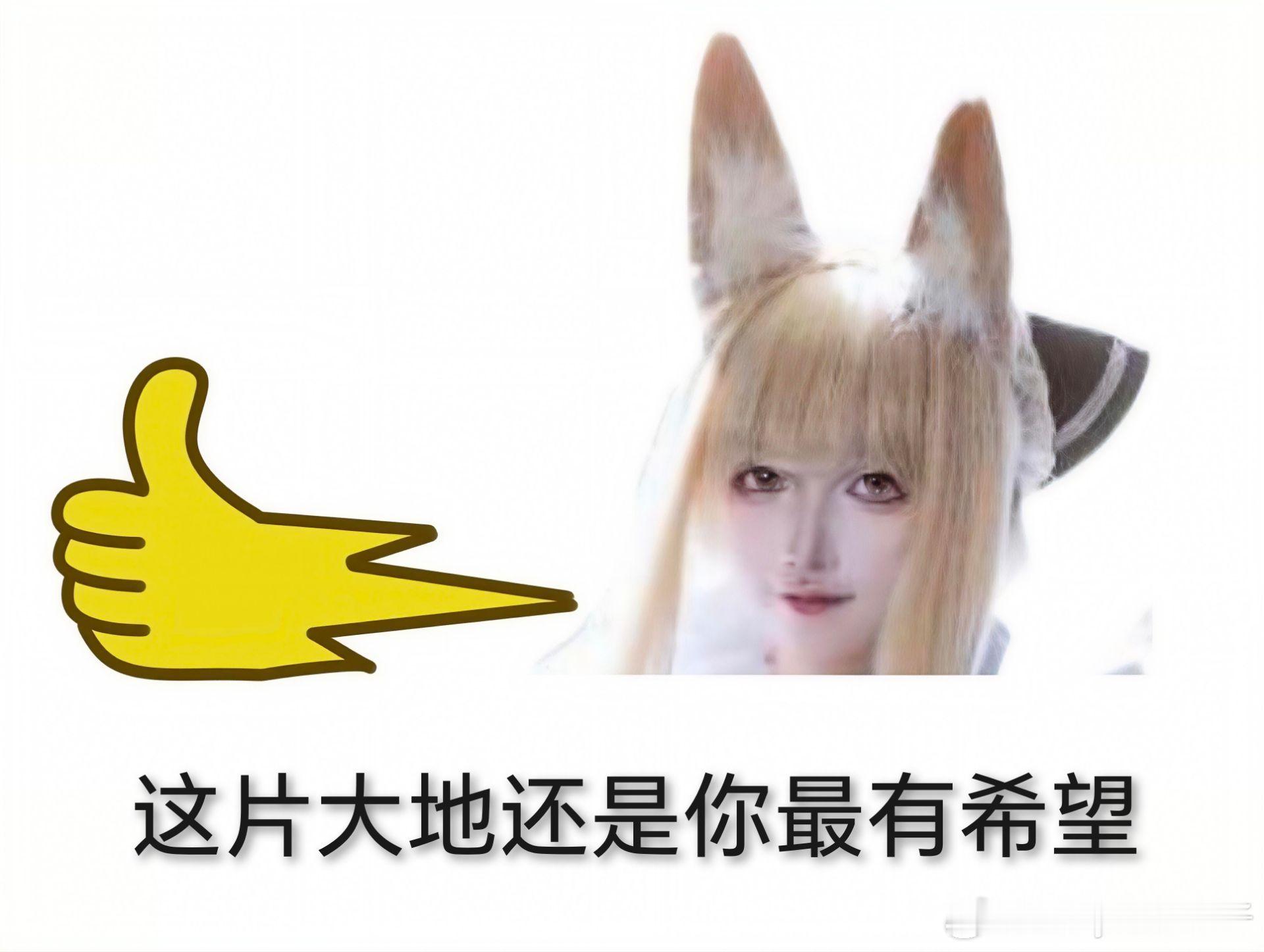 准备吃肠粉的陈sir开播肉鸽了 ​​​