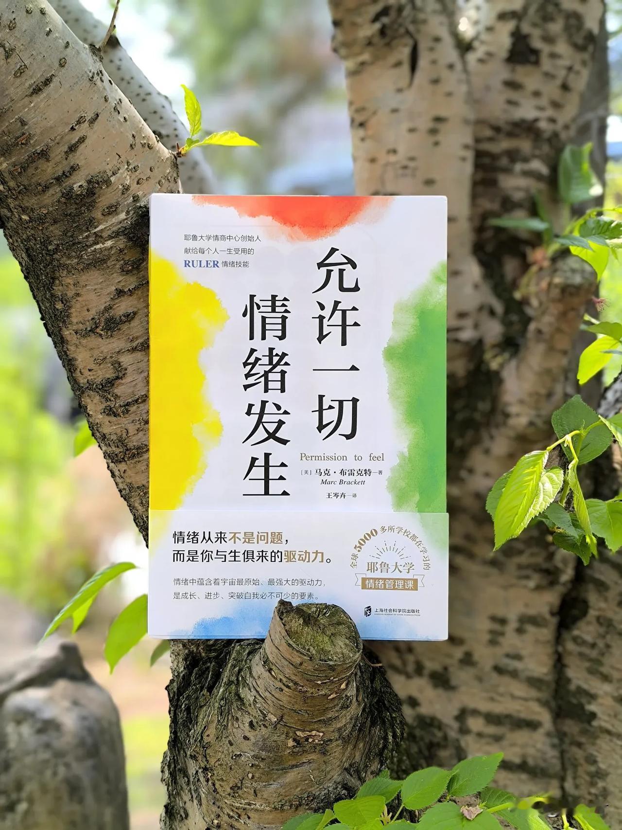 大部分情绪问题，都是词汇量少造成的

马克·布雷克特在《允许一切情绪发生》中，打