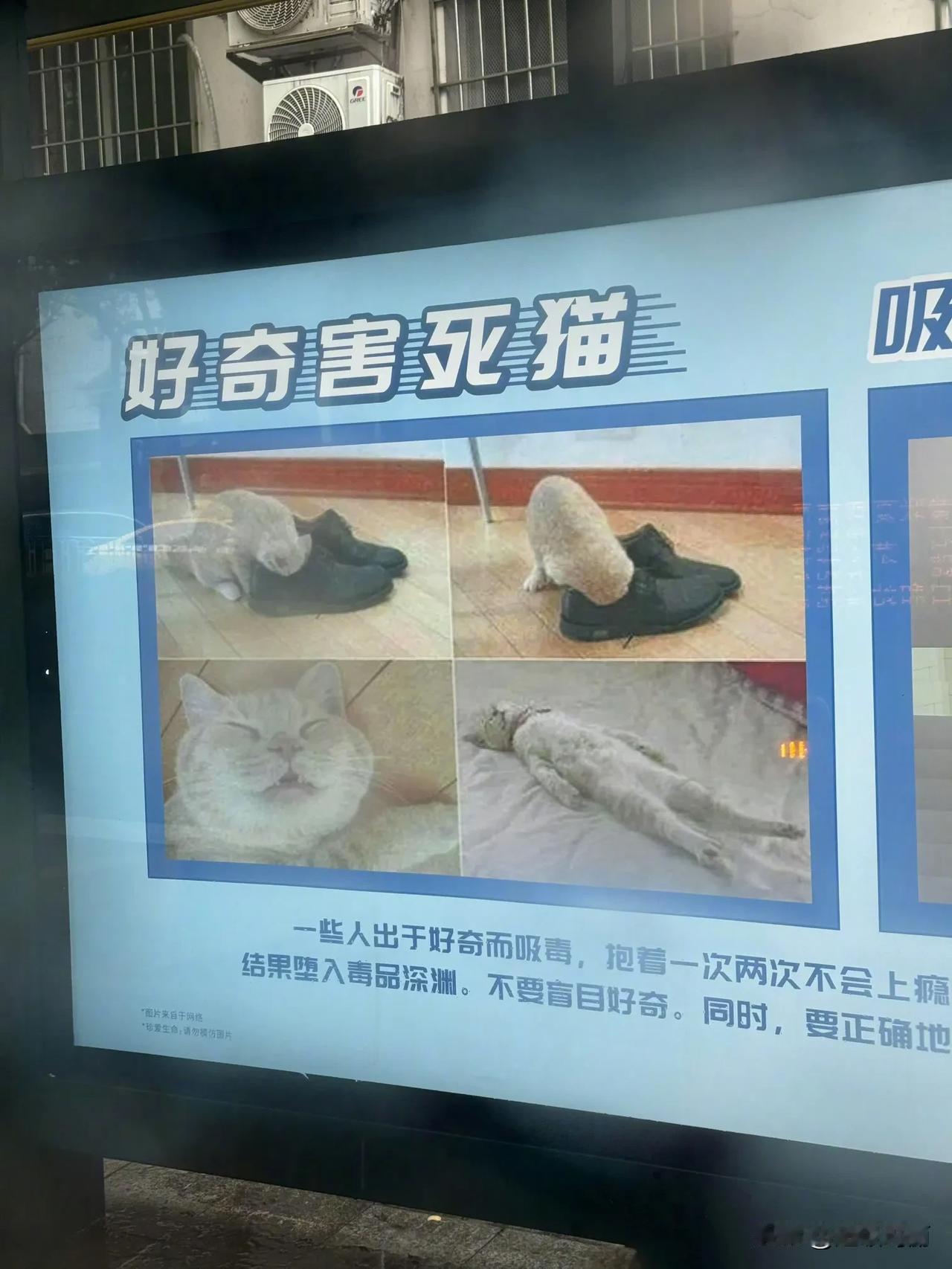 地铁站附近这个禁毒广告，不会又是哪个00后运营做的吧！！！
毫无震慑作用，这么严